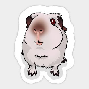 Himalayan Guinea Pig Sticker